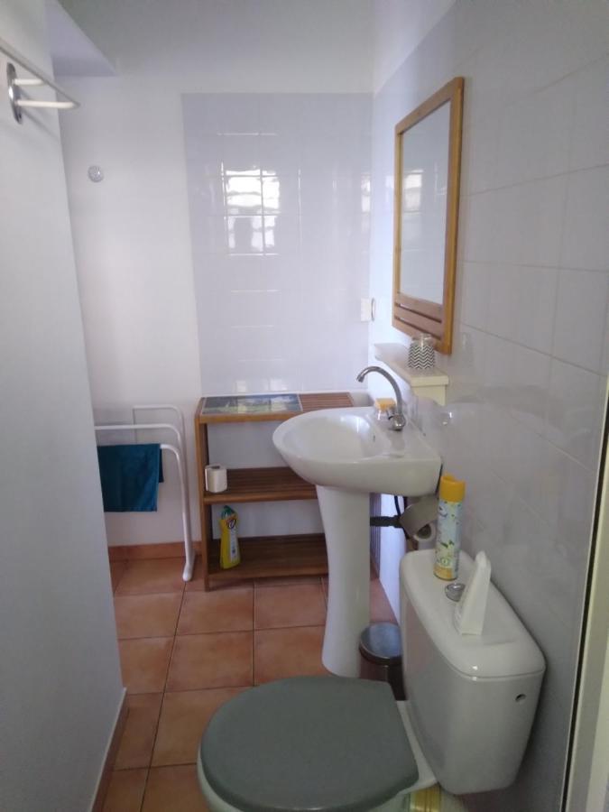 Studio Aux Avirons Pour 2 Personnes, Avec Piscine Les Avirons Ngoại thất bức ảnh